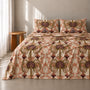 100% Organic Cotton Sheet Set | Oasis